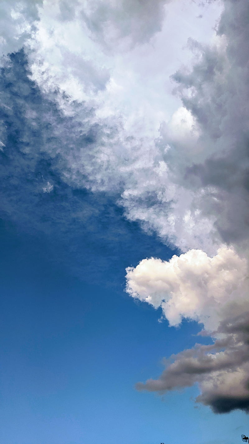 Cloud, blue, ceu, horizonte, nature, nature, nuvem, palin, sky, HD phone wallpaper