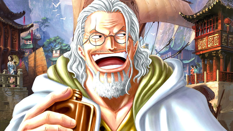 One Piece Silvers Rayleigh Anime, HD wallpaper