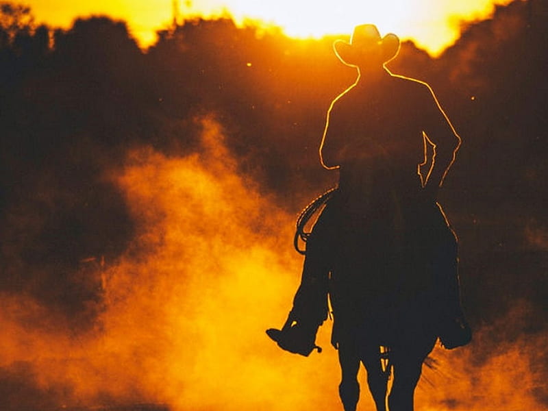 Cowboy, shadow, dust, horse, rider, HD wallpaper