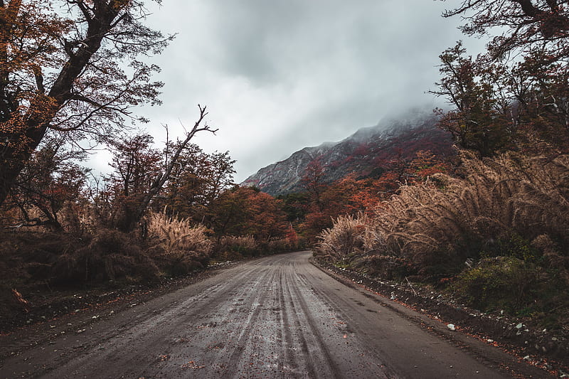 road, mountains, bushes, trees, nature, HD wallpaper