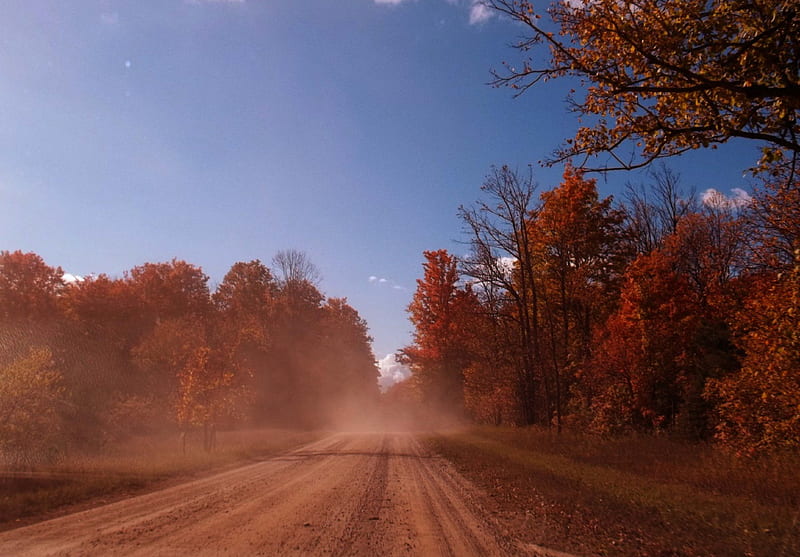 The Past, forest, fall, trees, roadtrip, leaves, past, dirt, blue sky, road, HD wallpaper