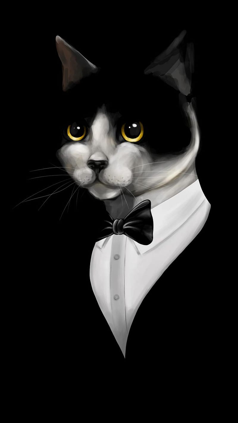 Cat in tuxedo, pet, tie, HD phone wallpaper