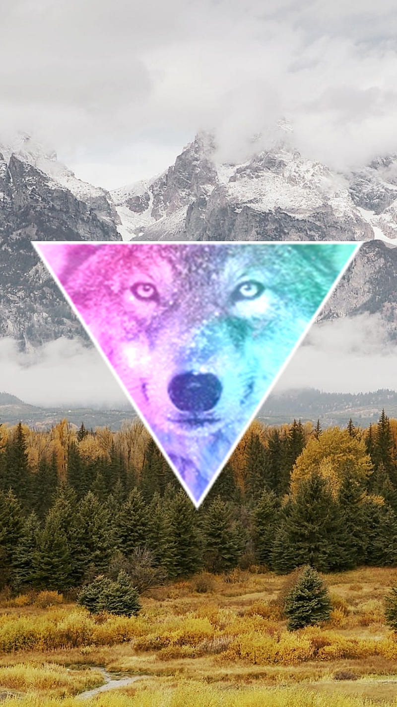 Wolf, hipster, mountain, triangle, HD phone wallpaper | Peakpx