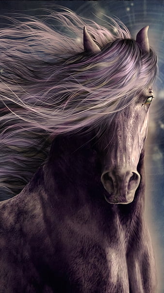 HD wallpaper Fantasy Animals Horse  Wallpaper Flare