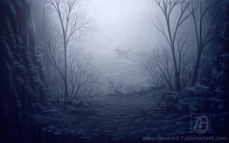 Wolf's path, forest, art, abstract, fog, mist, fantasy, darkness dark, wolf, wolves, night, HD wallpaper