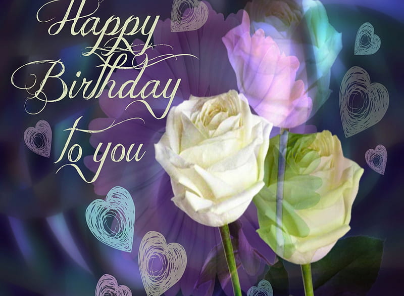 Happy Birtay, occasions, roses, HD wallpaper