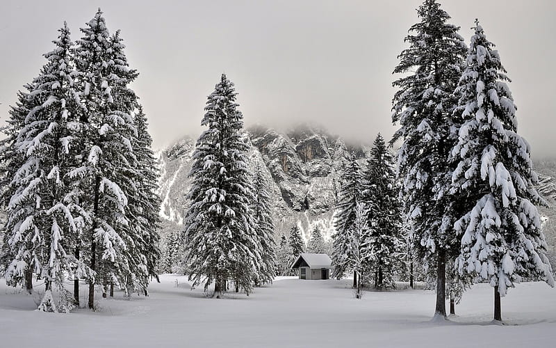 winter, mountain, forest, hut, mountain landscape, HD wallpaper