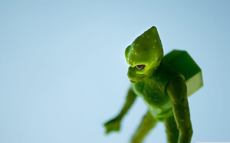 green alien-Macro graphy Series, HD wallpaper