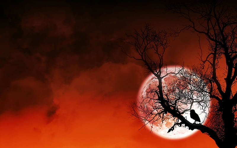 Vampire Castle Night Sky Moon Wallpaper 4K #4.3292