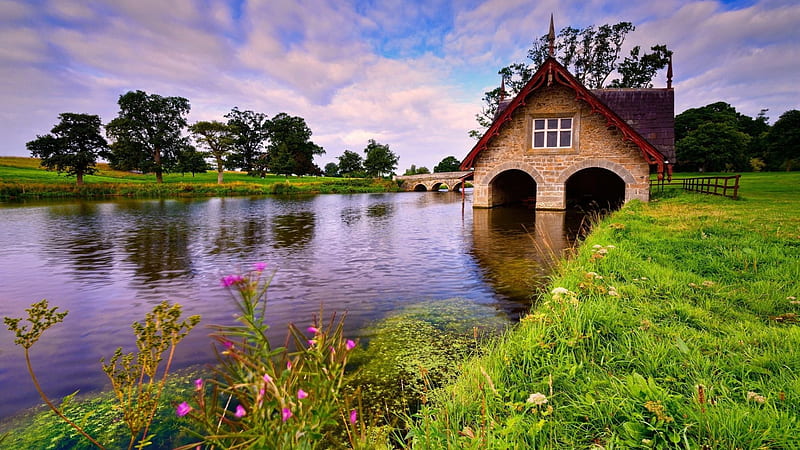 Lake Cabin, shore, house, grass, cottage, cabin, lake, boat, nature, river, glowers, reflection, HD wallpaper