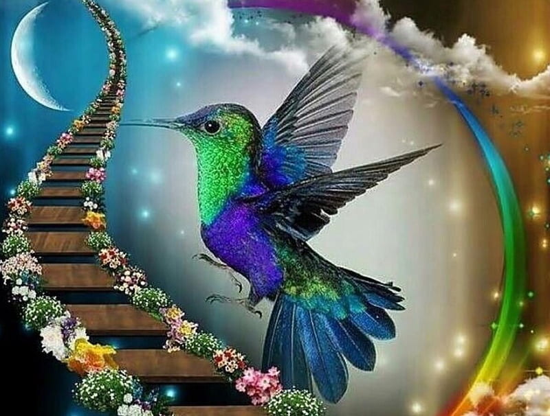 Hummingbird's Path, lovely, birds, stairs, rainbow, hummimgburd, clouds, Fantasy, moon, flowers, coloful, HD wallpaper