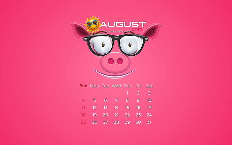 August 2019 Calendar summer, pink piggy, 2019 calendar, August 2019, creative, piggy with sun, August 2019 calendar with pig, Calendar August 2019, pink background, 2019 calendars, HD wallpaper