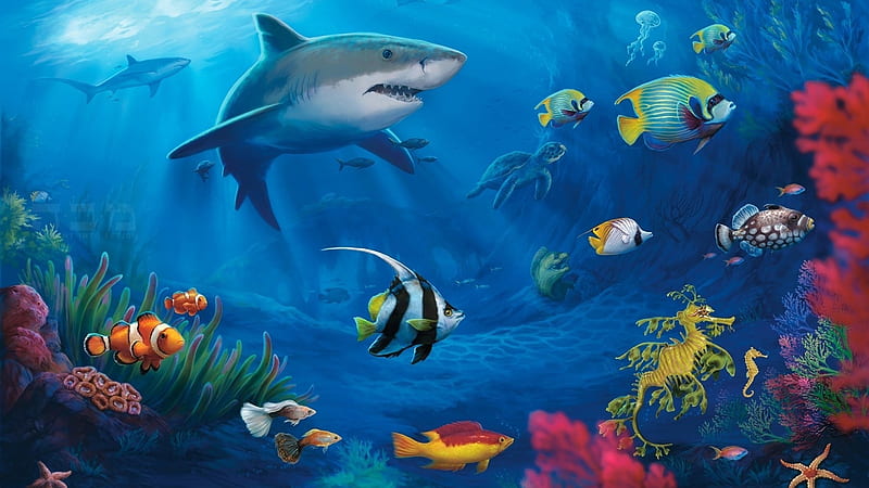 under the sea, shark, water, angelfish, sea dragon, coral, sea horse, goldfish, starfish, reef, HD wallpaper