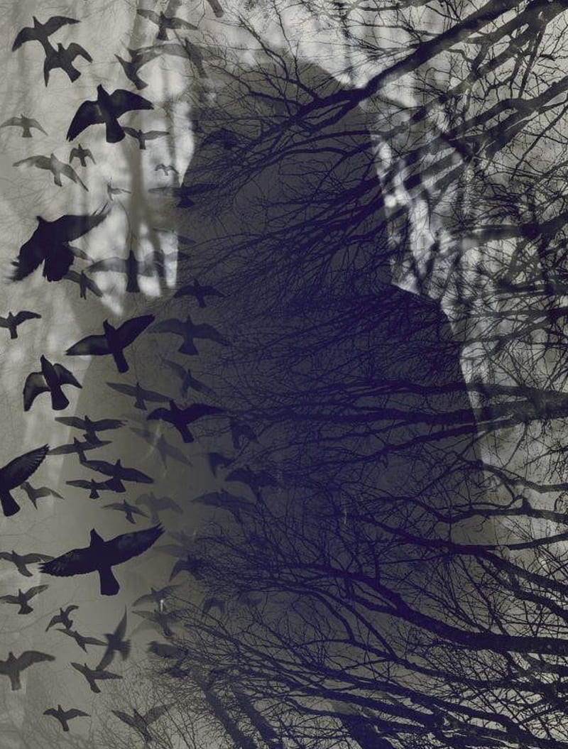 fly away, birds, black, blend, nature, person, trees, white, HD phone wallpaper