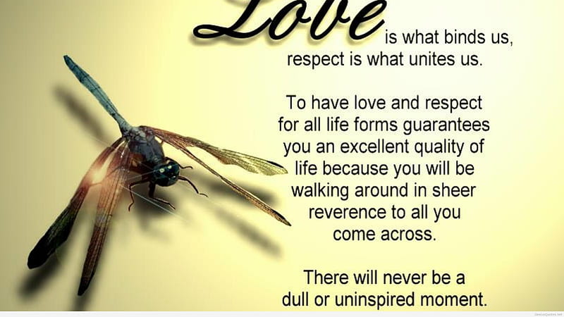Love Is What Binds Us Respect Is What Unites Us I Love, HD wallpaper