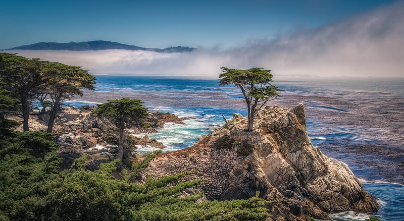 Monterey Bay, rocks, ocean, waves, trees, sky, mist, mountain, beauty, nature, bay, HD wallpaper
