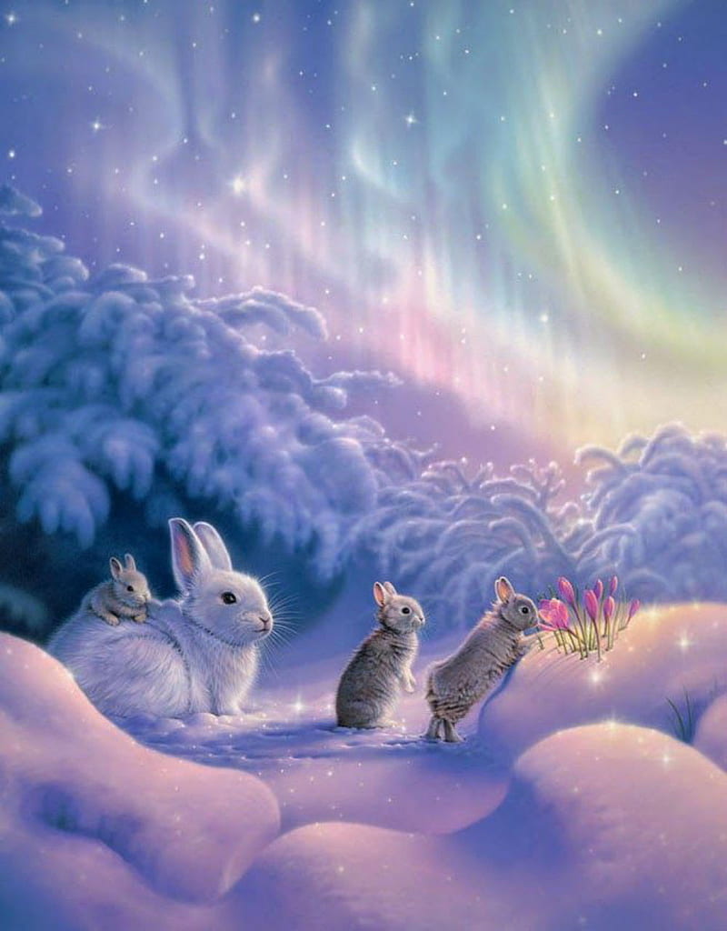 Winter bunnies, bunny, family, animals, northern lights, aurora, night, snow, HD phone wallpaper