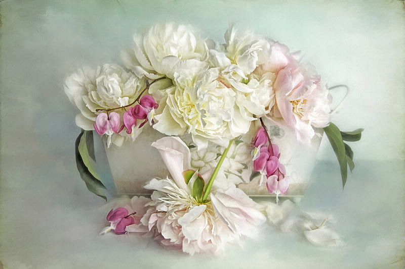Flowers, still life, flower, white, pink, HD wallpaper | Peakpx