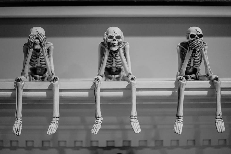 three wise sitting human skeleton figurines on white shelf, HD wallpaper