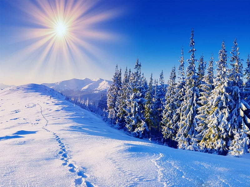 Rays in winter, pretty, glow, slopes, dazzling, bonito, snowy, mountain, nice, bright, sun rays, lovely, sky, trees, ski, winter, rays, snow, HD wallpaper