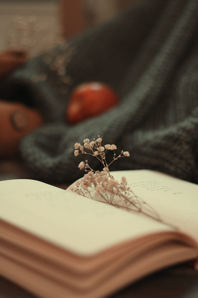 book, dried flowers, pages, flowers, HD phone wallpaper