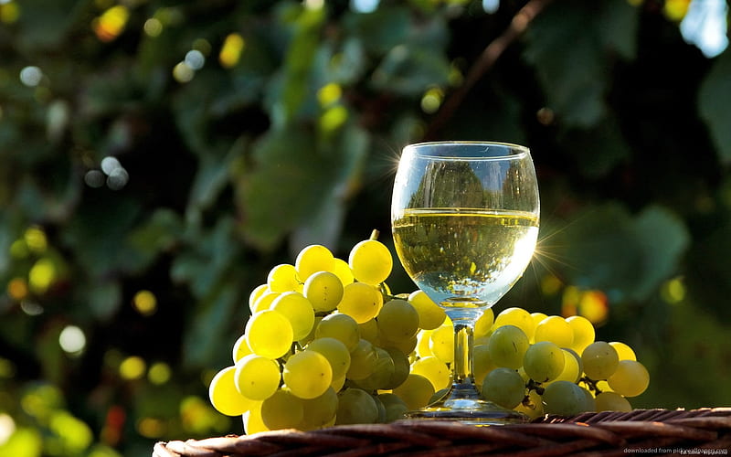 grapes and wine, glass, grapes, white, wine, HD wallpaper