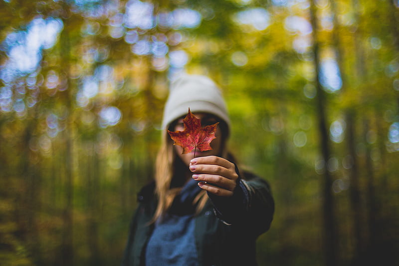 wide aperture graphy of woman holding maple leaf to camera during daytime, HD wallpaper