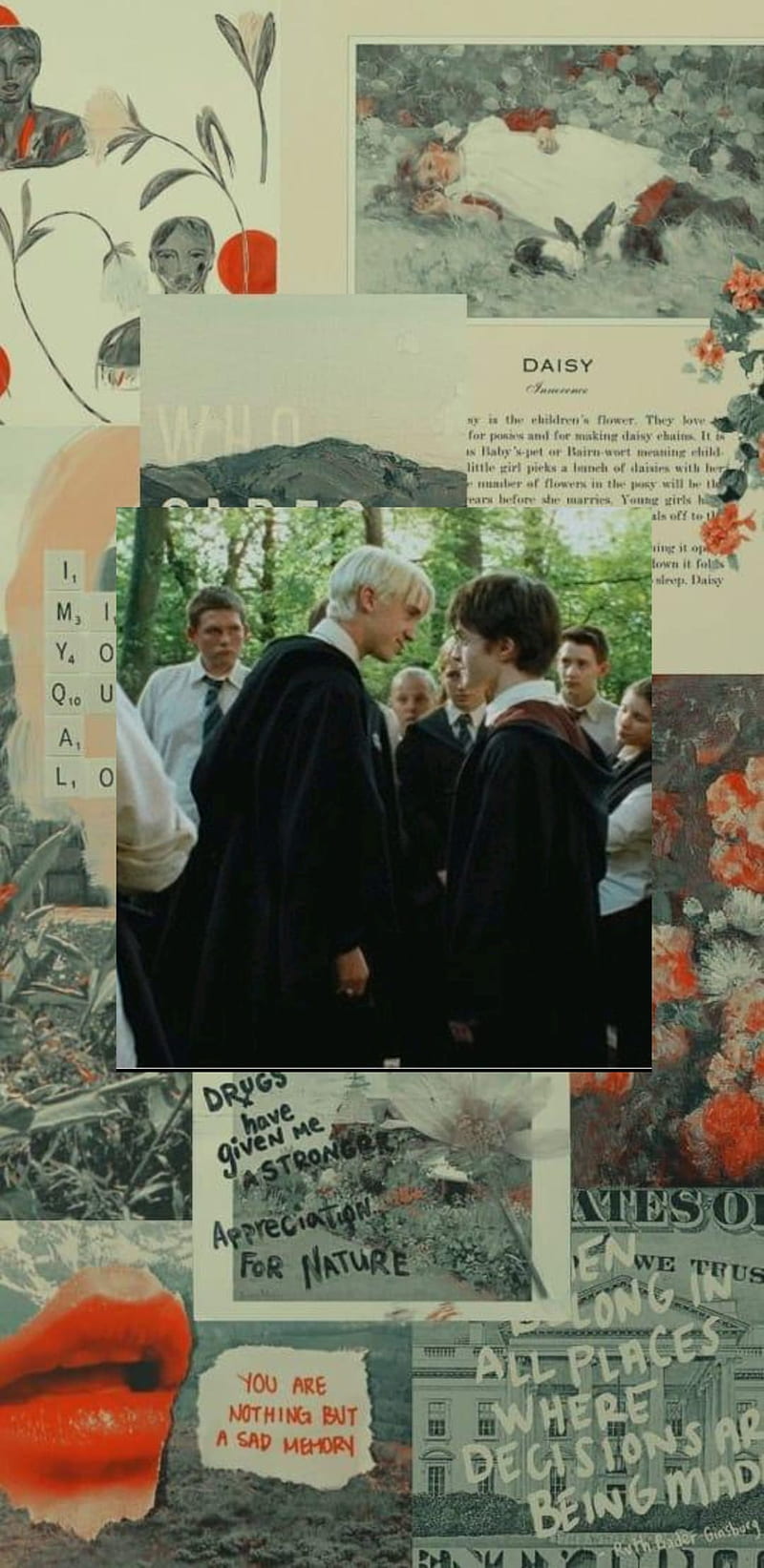 Harry Potter, daniel radcliffe, draco malfoy, tom felton, HD phone wallpaper