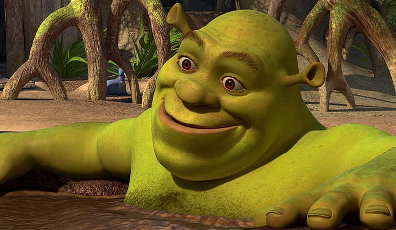 Shrek, , Shrek Meme, HD wallpaper