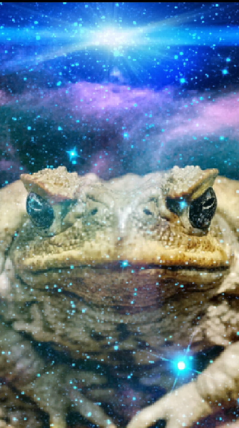 Space Toad, frog, nature, space, toad, HD phone wallpaper