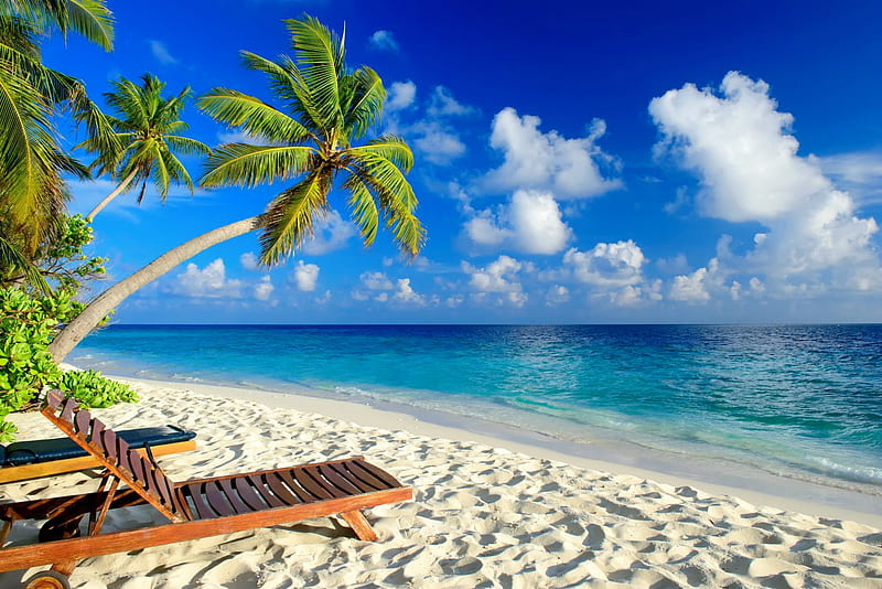 Vacation dream, shore, vacation, sun, ocean, relax, breeze, bonito, sky, palms, sea, beach, paradise, summer, tropics, dream, sands, HD wallpaper