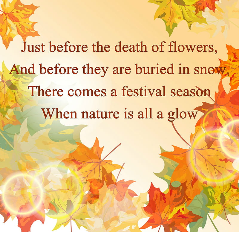 Nature is all glow, fall, autumn, leaves, quote, nature, HD wallpaper ...
