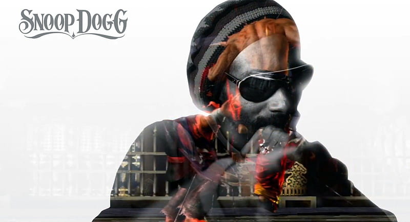 Snoop Dogg, artist, tekken, game, singer, HD wallpaper