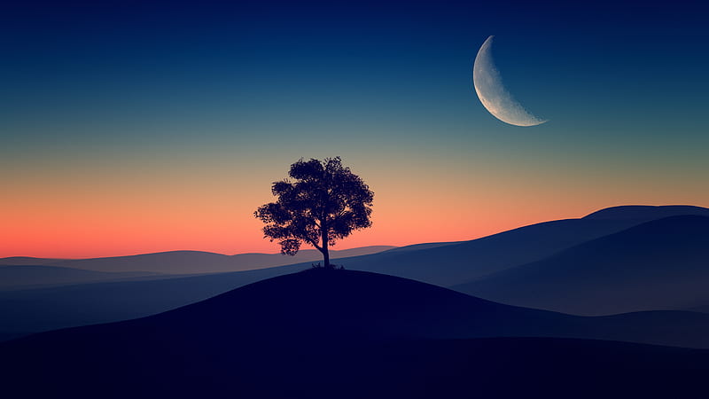Tree alone dark evening, Drawing, Sky, Moon, Hill, HD wallpaper