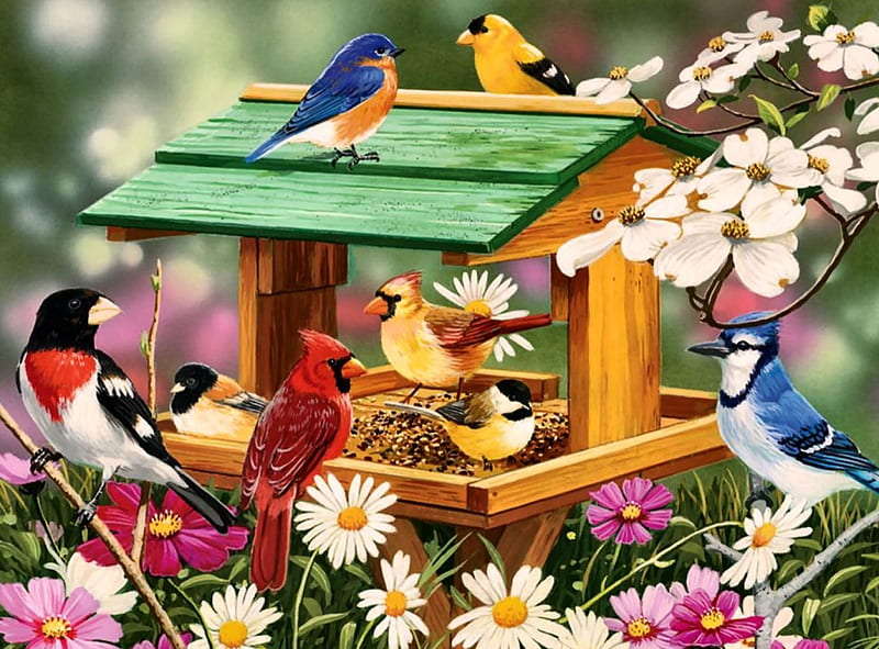 Spring Feast F1, art, Cardinal, Rose-breasted, Chickadee, artwork, animal, Bluebird, bird, Goldfinch, avian, painting, Blue Jay, wide screen, wildlife, HD wallpaper
