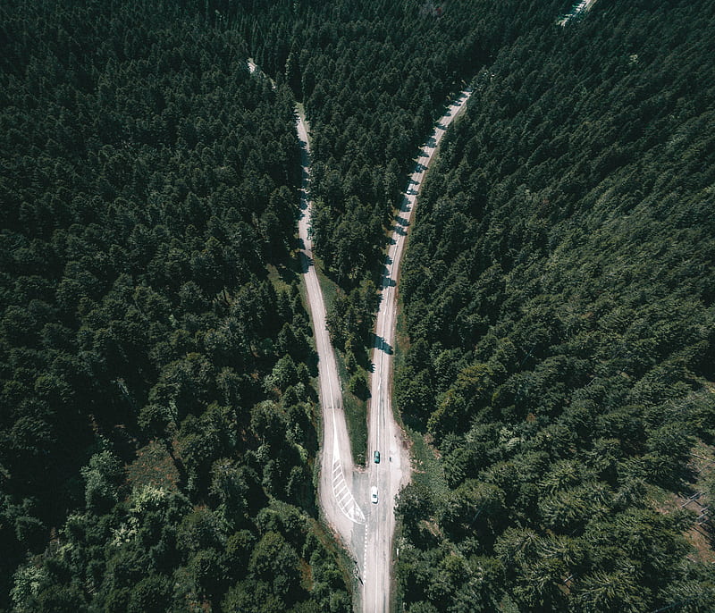 high angle view graphy of road between forest, HD wallpaper