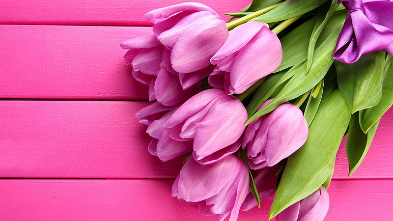 spring, board, bouquet, pink tulips, flowers, tulips, HD wallpaper