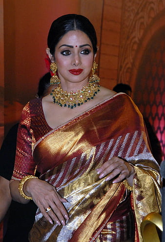 This Net Saree Look Of Sridevi is Totally Adorable! • Keep Me Stylish