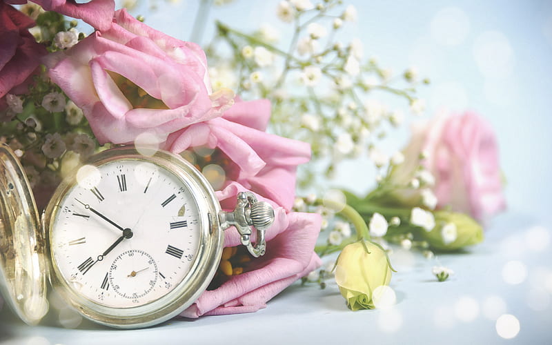 gold pocket watch, time concepts, yellow roses, pink roses, mood concepts, HD wallpaper