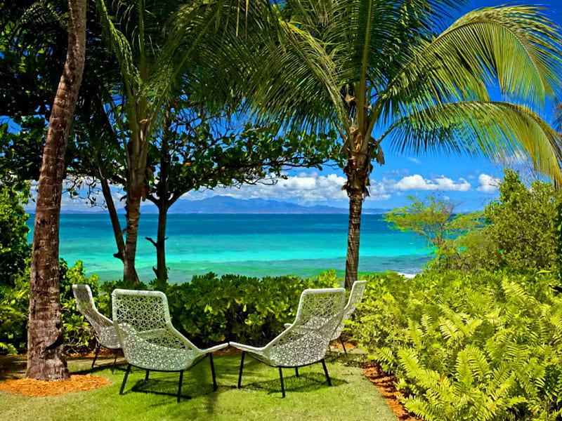 Lovely place for rest, grass, sunny, bushes, sea, palm trees, green, chairs, tropics, blue, table, rest, exotic, horizon, lovely, holiday, ocean, greenery, shadow, emerald, palms, water, summer, nature, tropical, HD wallpaper