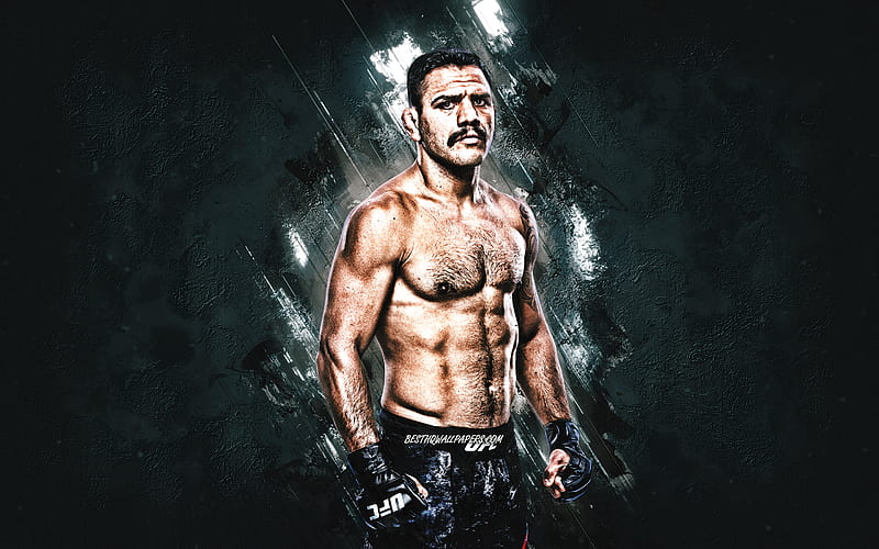 Rafael Dos Anjos, UFC, brazilian fighter, MMA, portrait, gray stone background, HD wallpaper