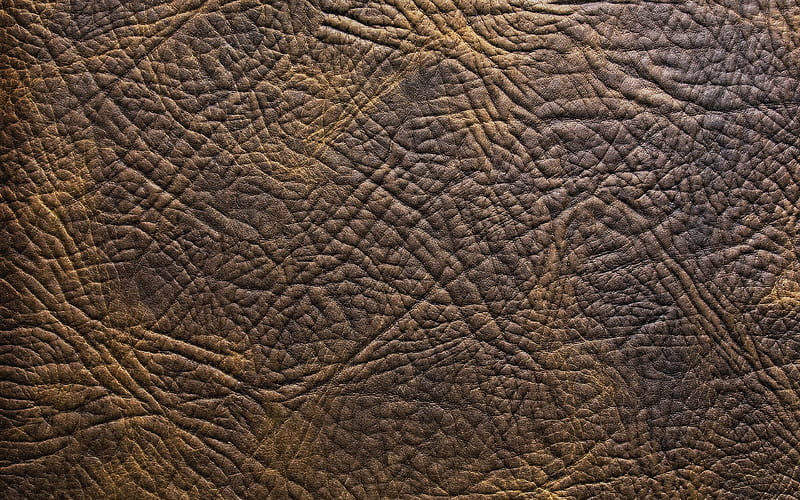 brown leather texture leather textures, brown backgrounds, leather backgrounds, leather patterns, macro, leather, HD wallpaper