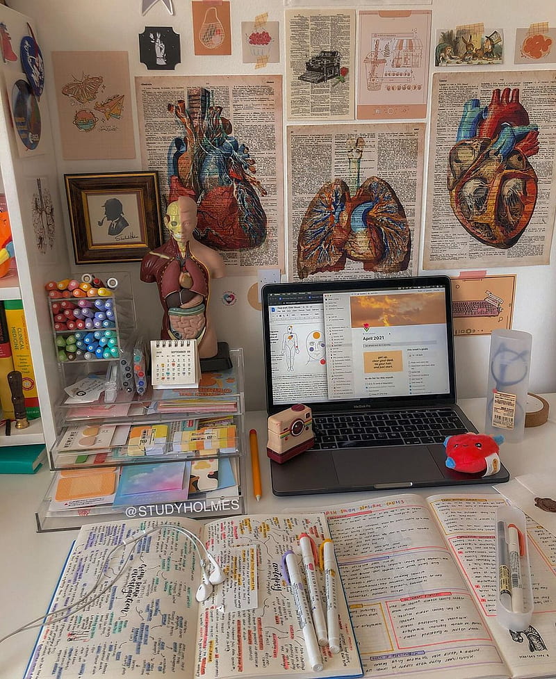 Medical Window Stickers | Medical Office Stickers | Laptop Nurse Sticker -  Doctor's Art - Aliexpress