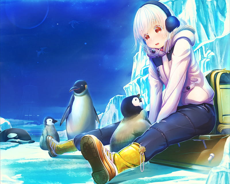 Anime Original Boy Penguin HD wallpaper  Peakpx