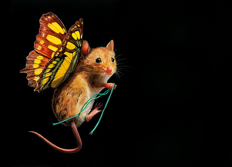 Мышь улитка. Мышка и бабочки. Мышь Фея. Mouse Fantasy. Мышка воин картинки.