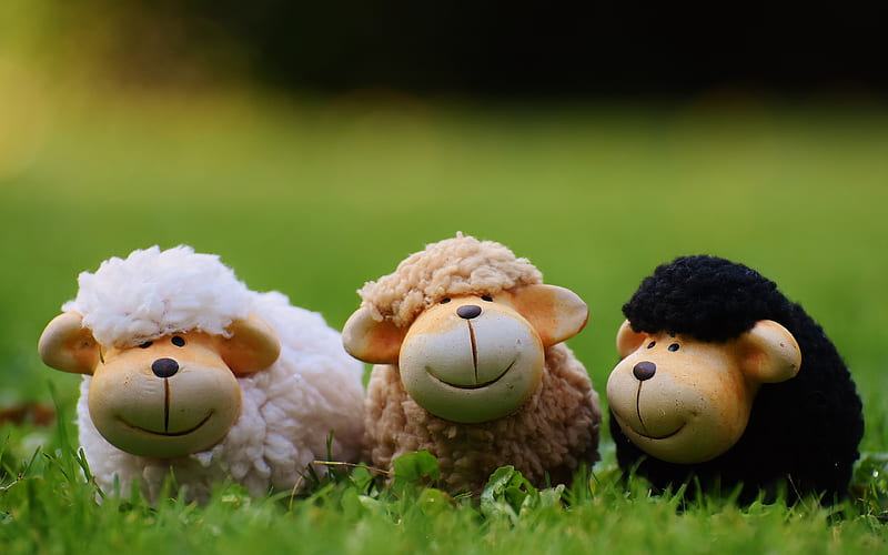 sheeps green grass, close-up, meadow, blur, ceramic toys, HD wallpaper