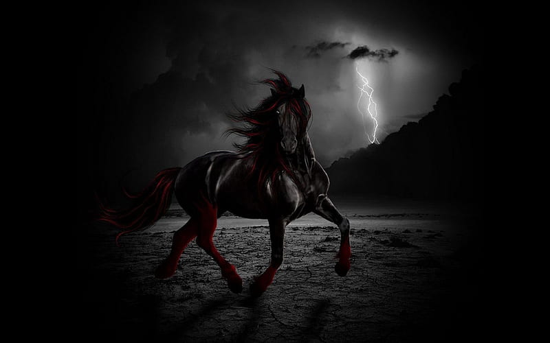stunning-black-horse, stunning, black, bonito, horse, sky, stormy, rainy, animal, sea, beach, escaping, dark, running, HD wallpaper