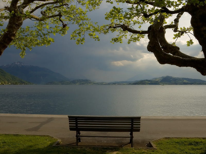 a quiet place, beach, tree, water, quiet place, HD wallpaper
