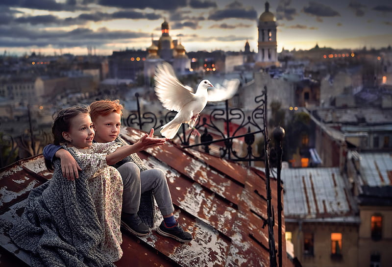 Little Boy And Girl Pigeon Roof , children, pigeon, graphy, little-boy, little-girl, cute, HD wallpaper