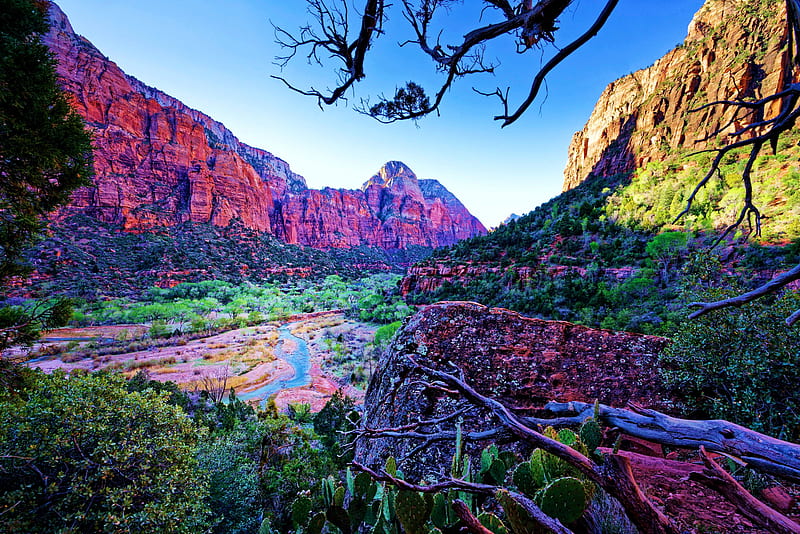 HD wallpaper Zion National Park Utah Usa Autumn Landscape Nature 4k  Wallpapers High Quality 38402160  Wallpaper Flare